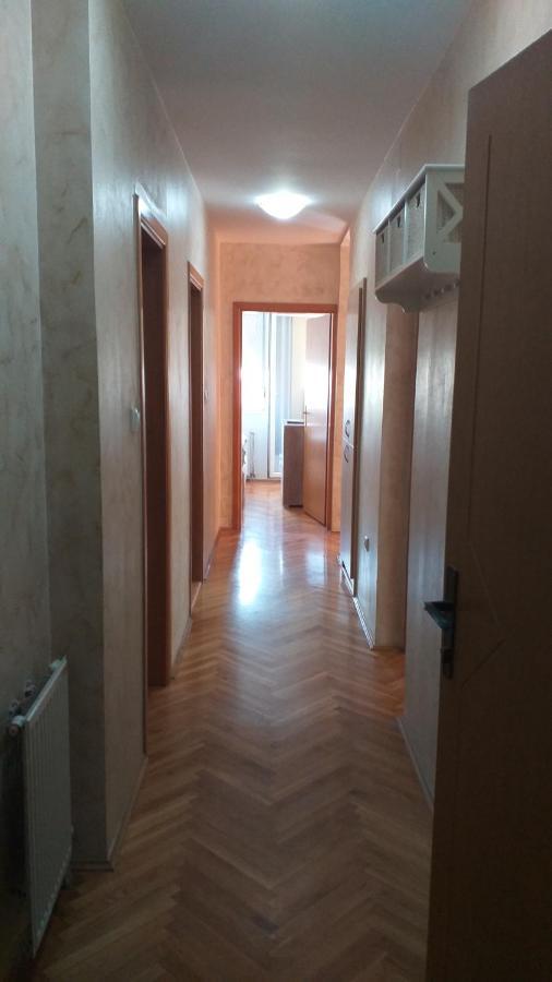 Apartman Anja Novi Sad Bagian luar foto