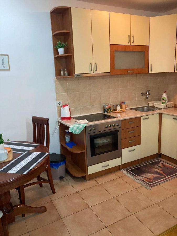Apartman Anja Novi Sad Bagian luar foto