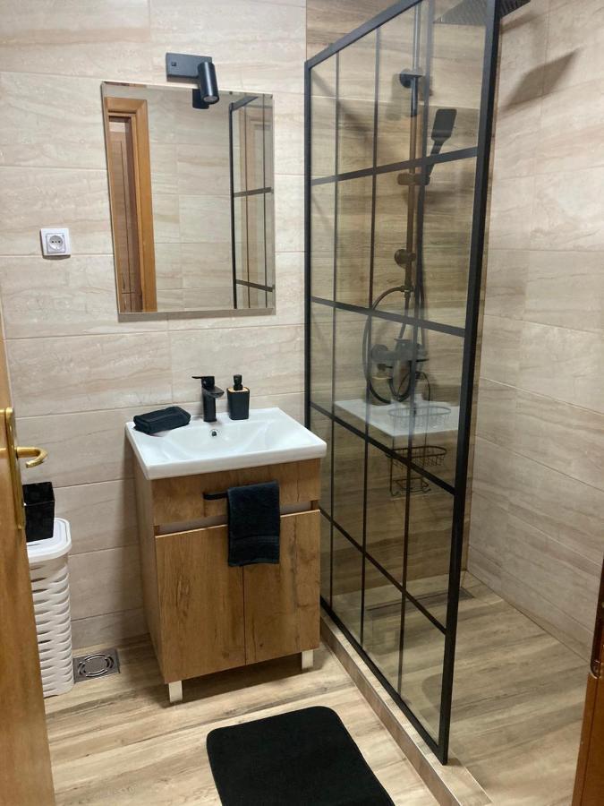 Apartman Anja Novi Sad Bagian luar foto